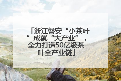 浙江磐安“小茶叶”成就“大产业”，全力打造50亿级茶叶全产业链