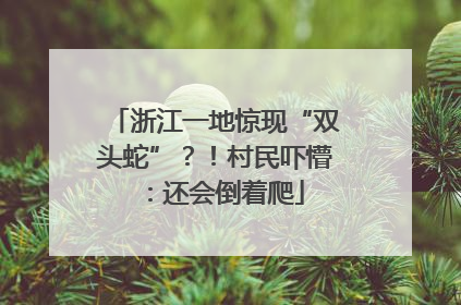 浙江一地惊现“双头蛇”？！村民吓懵：还会倒着爬