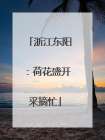 浙江东阳：荷花盛开采摘忙