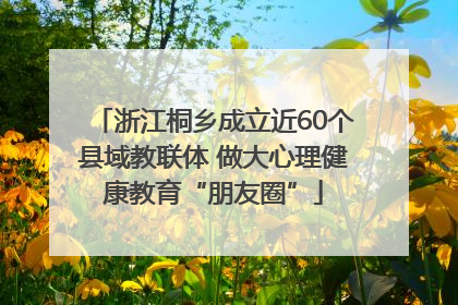 浙江桐乡成立近60个县域教联体 做大心理健康教育“朋友圈”