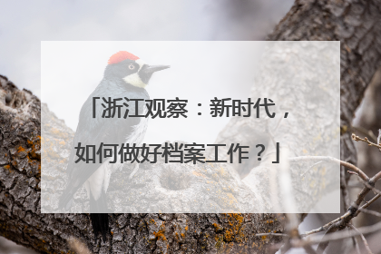 浙江观察：新时代，如何做好档案工作？