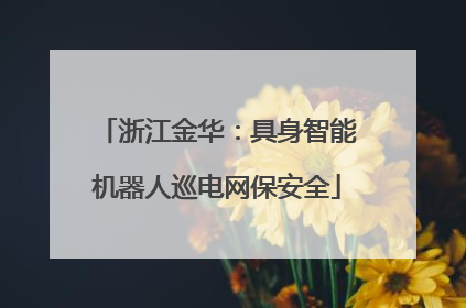 浙江金华：具身智能机器人巡电网保安全