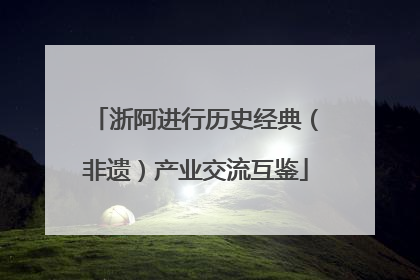 浙阿进行历史经典（非遗）产业交流互鉴