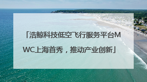 浩鲸科技低空飞行服务平台MWC上海首秀，推动产业创新