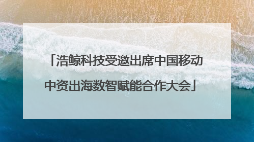 浩鲸科技受邀出席中国移动中资出海数智赋能合作大会