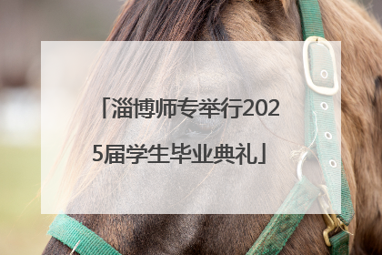 淄博师专举行2025届学生毕业典礼