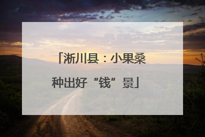 淅川县：小果桑种出好“钱”景