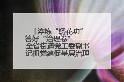 淬炼“绣花功” 答好“治理卷”——全省街道党工委副书记抓党建促基层治理培训示范班侧记