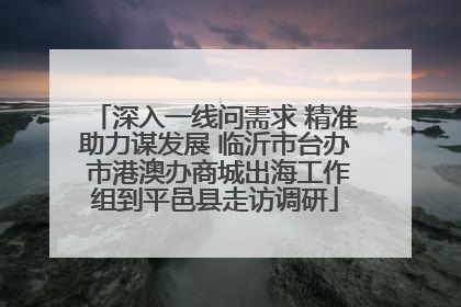 深入一线问需求 精准助力谋发展 临沂市台办 市港澳办商城出海工作组到平邑县走访调研
