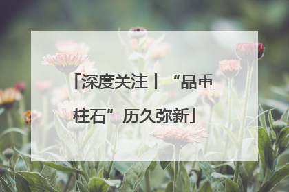 深度关注丨“品重柱石”历久弥新