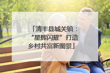 清丰县城关镇：“星辉闪耀”打造乡村共富新图景