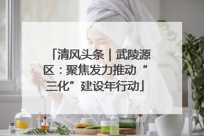 清风头条｜武陵源区：聚焦发力推动“三化”建设年行动