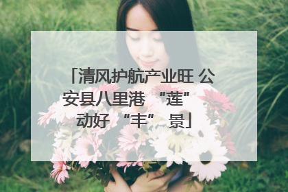 清风护航产业旺 公安县八里港 “莲” 动好 “丰” 景