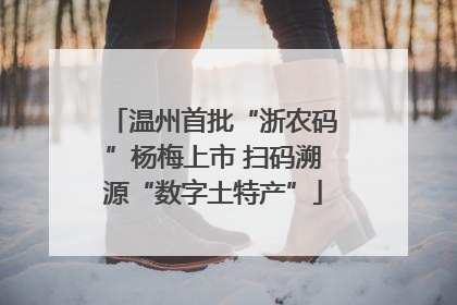 温州首批“浙农码”杨梅上市 扫码溯源“数字土特产”
