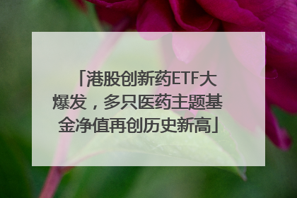港股创新药ETF大爆发，多只医药主题基金净值再创历史新高