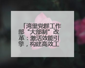 湾里党群工作部“大部制”改革：激活效能引擎，构建高效工作新格局