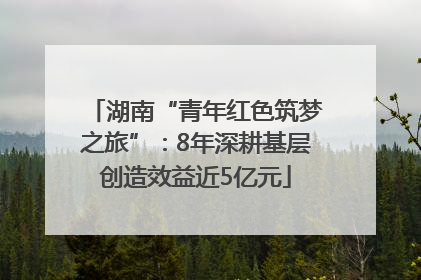 湖南“青年红色筑梦之旅”：8年深耕基层创造效益近5亿元