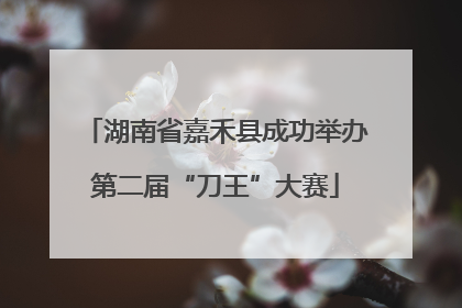 湖南省嘉禾县成功举办第二届“刀王”大赛