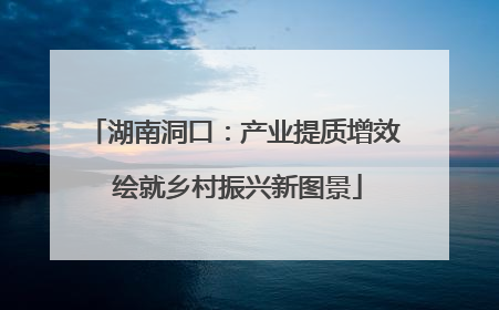 湖南洞口：产业提质增效 绘就乡村振兴新图景