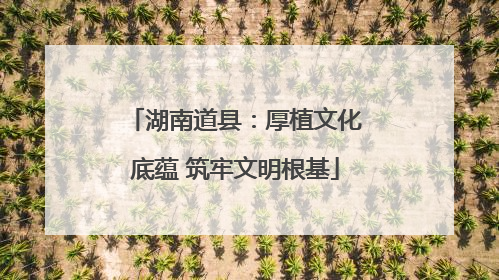 湖南道县：厚植文化底蕴 筑牢文明根基