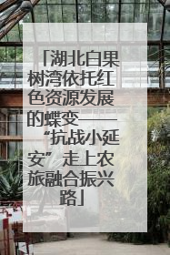 湖北白果树湾依托红色资源发展的蝶变——“抗战小延安”走上农旅融合振兴路