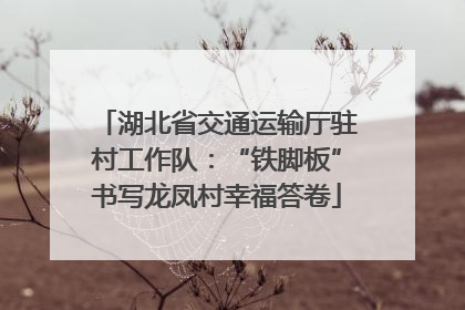 湖北省交通运输厅驻村工作队：“铁脚板”书写龙凤村幸福答卷