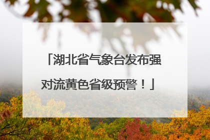 湖北省气象台发布强对流黄色省级预警！
