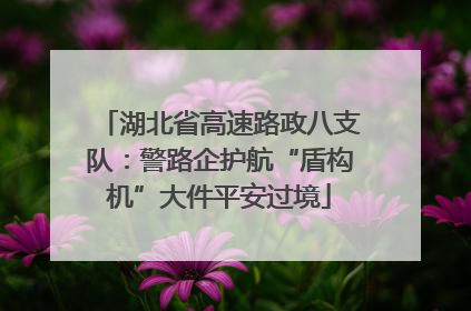湖北省高速路政八支队：警路企护航“盾构机”大件平安过境