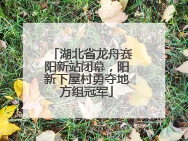 湖北省龙舟赛阳新站闭幕，阳新下屋村勇夺地方组冠军
