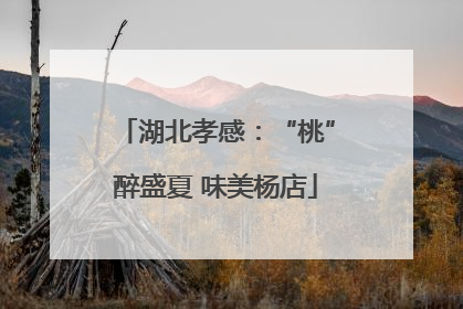 湖北孝感：“桃”醉盛夏 味美杨店