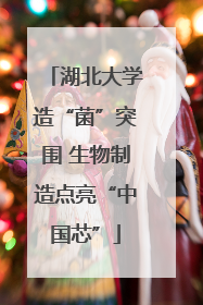 湖北大学造“菌”突围 生物制造点亮“中国芯”