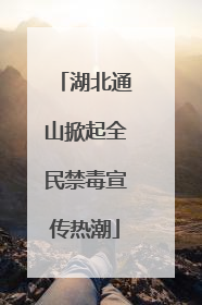 湖北通山掀起全民禁毒宣传热潮
