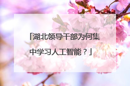湖北领导干部为何集中学习人工智能？