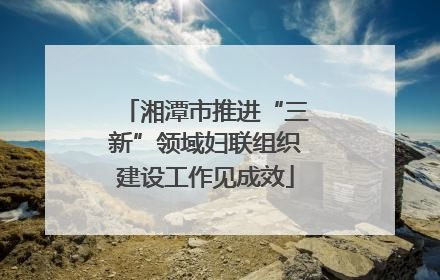 湘潭市推进“三新”领域妇联组织建设工作见成效