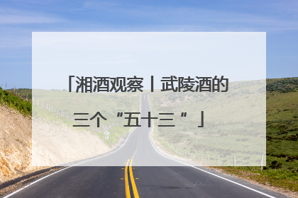 湘酒观察丨武陵酒的三个“五十三 ”