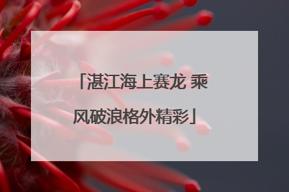 湛江海上赛龙 乘风破浪格外精彩