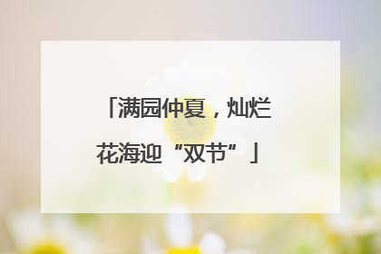 满园仲夏，灿烂花海迎“双节”