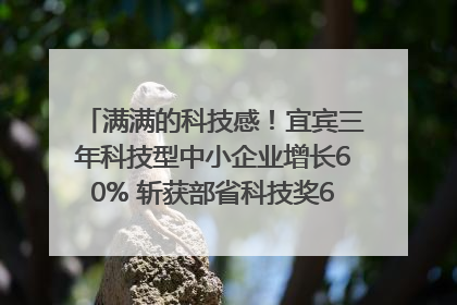 满满的科技感！宜宾三年科技型中小企业增长60% 斩获部省科技奖6项｜您牵挂的四川