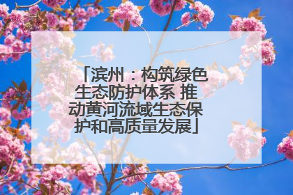 滨州：构筑绿色生态防护体系 推动黄河流域生态保护和高质量发展
