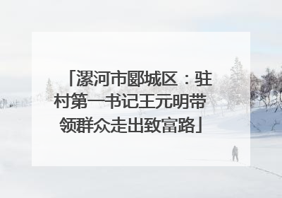 漯河市郾城区：驻村第一书记王元明带领群众走出致富路