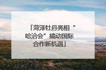 菏泽牡丹亮相“哈洽会”撬动国际合作新机遇