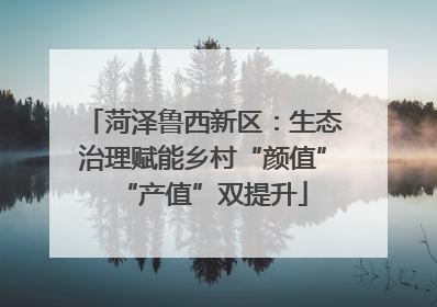 菏泽鲁西新区：生态治理赋能乡村“颜值”“产值”双提升