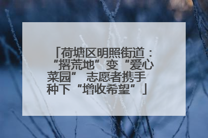 荷塘区明照街道：“撂荒地”变“爱心菜园” 志愿者携手种下“增收希望”
