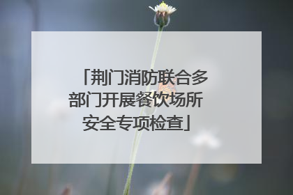 荆门消防联合多部门开展餐饮场所安全专项检查