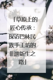 草原上的匠心传承：探访巴林民族手工坊的非遗新生之路