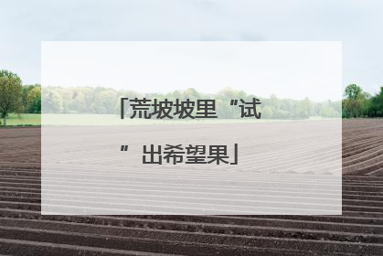 荒坡坡里“试”出希望果