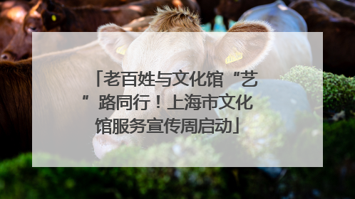 老百姓与文化馆“艺”路同行！上海市文化馆服务宣传周启动