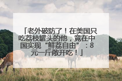 老外破防了！在美国只吃荔枝罐头的他，竟在中国实现“鲜荔自由”：8元一斤敞开吃！