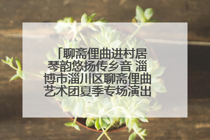 聊斋俚曲进村居 琴韵悠扬传乡音 淄博市淄川区聊斋俚曲艺术团夏季专场演出在杏园子村举行