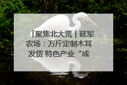 聚焦北大荒｜延军农场：万斤定制木耳发货 特色产业“成绩单”亮眼